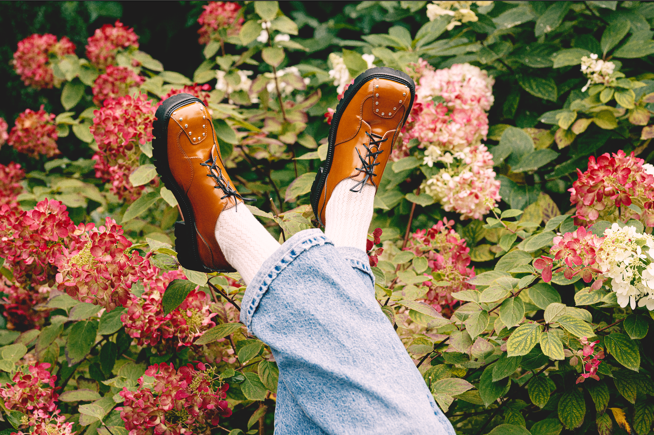 "Espresso Oxfords, Orange"